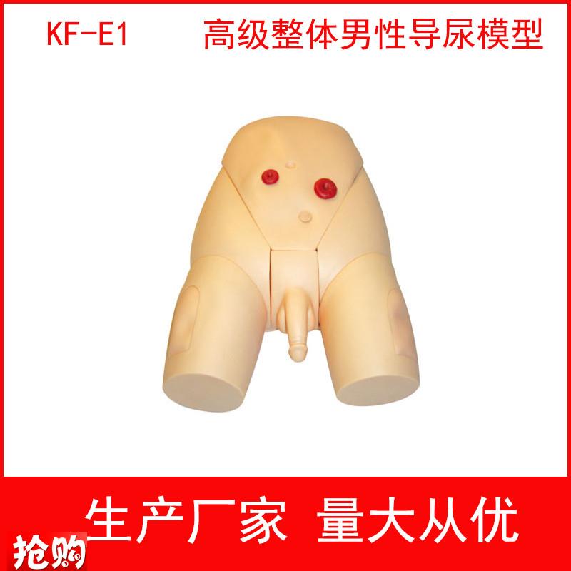 高级整体男女导尿模具q,高级整体男性导尿模型女性导尿训练模型