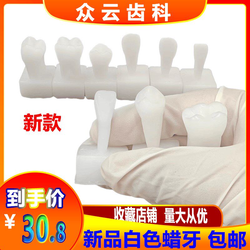 牙科齿科新款白色蜡牙1.2倍2倍尺寸齐全 L学生雕刻用模型 雕刻蜡