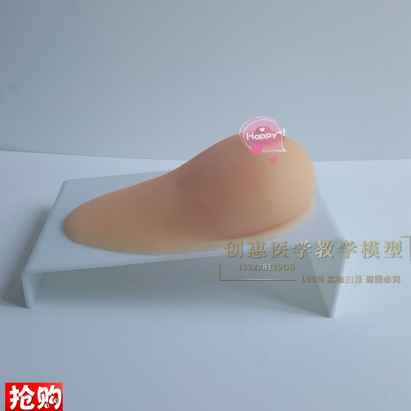 女性乳房模型催乳师培训道具哺乳教学K模型硅胶假乳房医学教具