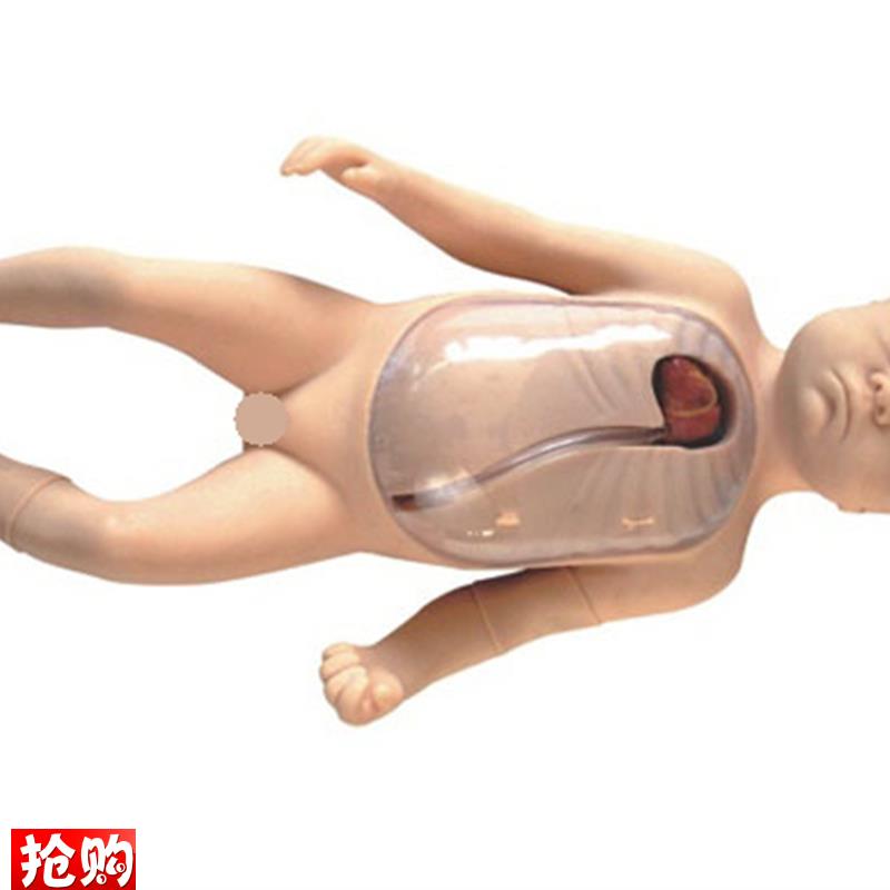 新生儿外周中心静脉插管模型医学教学模型外周R中心静脉插管模型