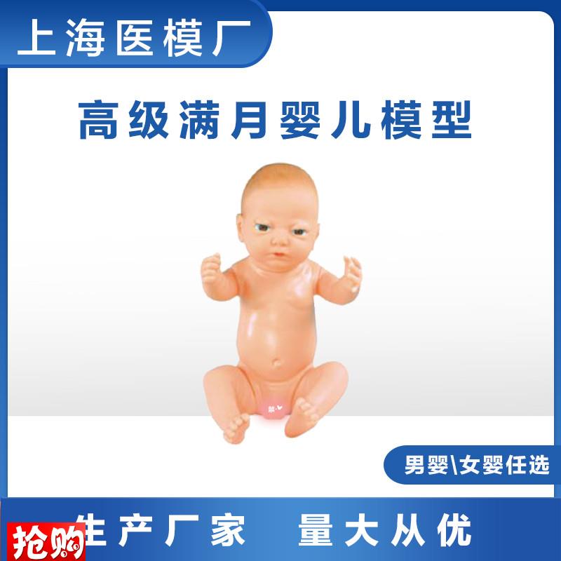 高级满月婴儿模型柔软可爱宝宝模型月嫂产科护Q士练习模型男女婴