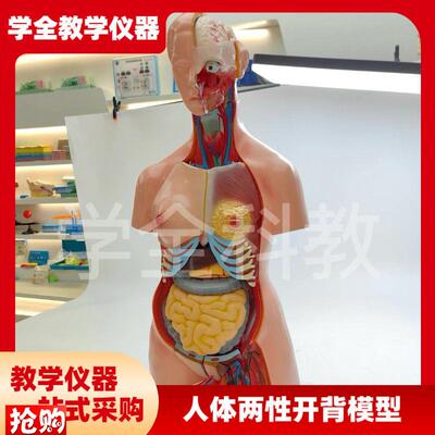人体器官身体结构解剖模型85cm两性开背全身内脏拼U装躯干解刨模