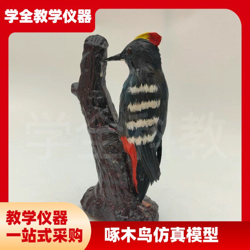 儿童玩具装饰仿真动物小鸟模x型摆件啄木鸟八哥麻雀绿鸠家居工艺