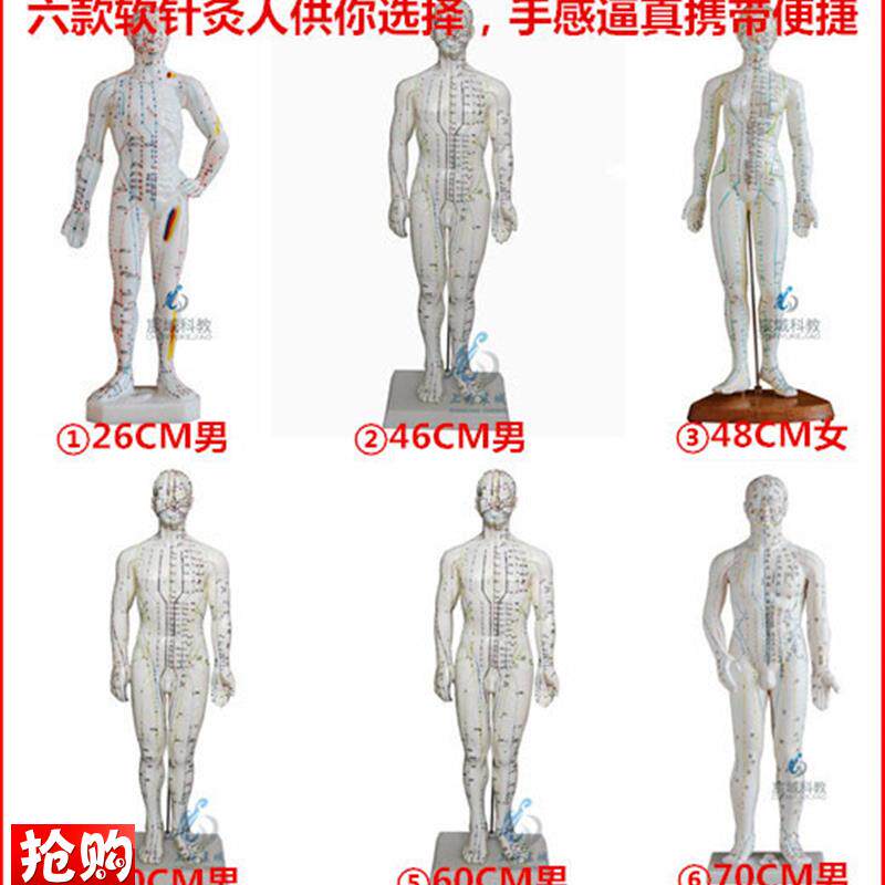 超清人体针灸穴位k模型经络通铜人刻字中医教学人体模型男女小人
