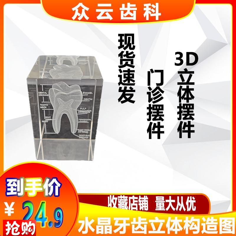 水晶牙齿模型内雕口m腔牙科医学院送医生礼物牙医教学纪念礼品摆