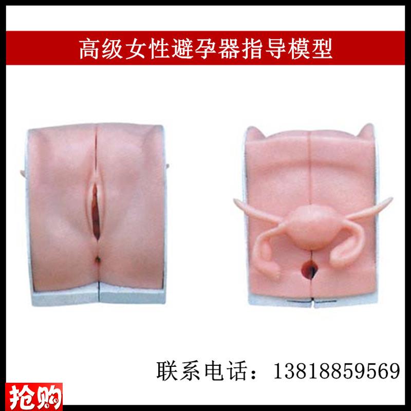 直销女性避孕器指导练习模型妇科训练用医学计划生T育实习检查模