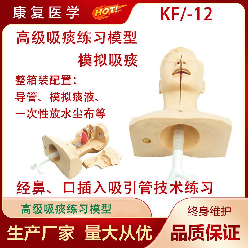 高级吸痰练习模j型 鼻腔口腔插管吸引训练模型高级吸痰练习模型