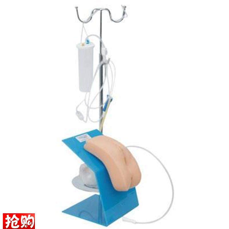高级女性a导尿模型男女性导尿示教模型导尿训练模型