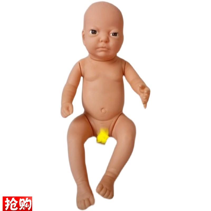 高级婴儿模型出生婴H儿模型新生儿模型