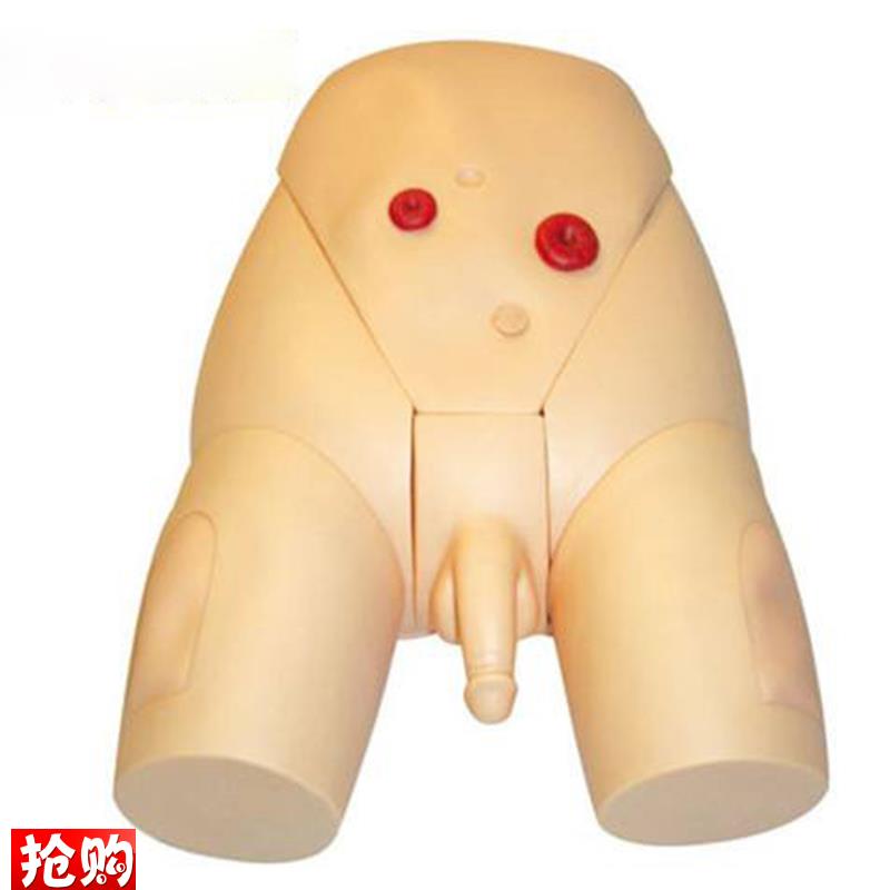 高级男性生殖器导q尿模型医学导尿练习模型训练模具