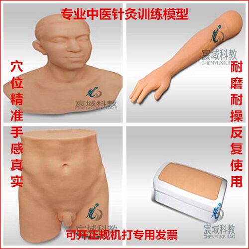中医学针灸头h部训练模型练习仿真人皮肤针刺手法假人穴位模具