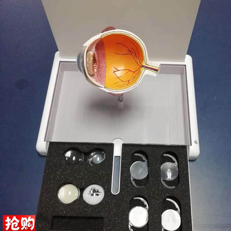 眼睛模型晶片虹膜器官解剖w白内障光学教仪医用医学教学教具