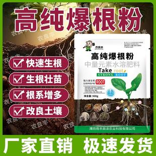 高纯爆根粉强力速效生根剂扦插移植绿叶专用快速生根正品根多多