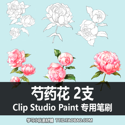 A1 162 CSP笔刷 芍药花 2支 CLIP STUDIO PAINT