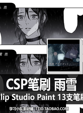 A1 328 CSP笔刷 雨雪 13支CLIP STUDIO PAINT
