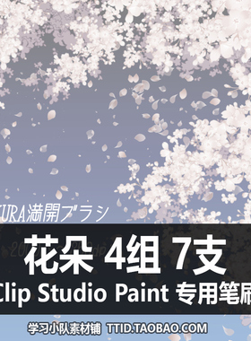 A1 289 CSP笔刷 花朵 4组 7支 CLIP STUDIO PAINT