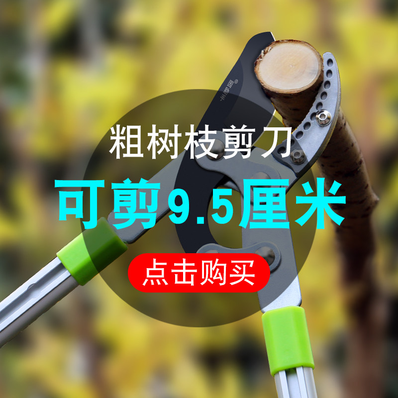 伸缩粗枝剪园林大剪刀园艺剪刀省力强力大力剪果树修枝剪树枝剪刀