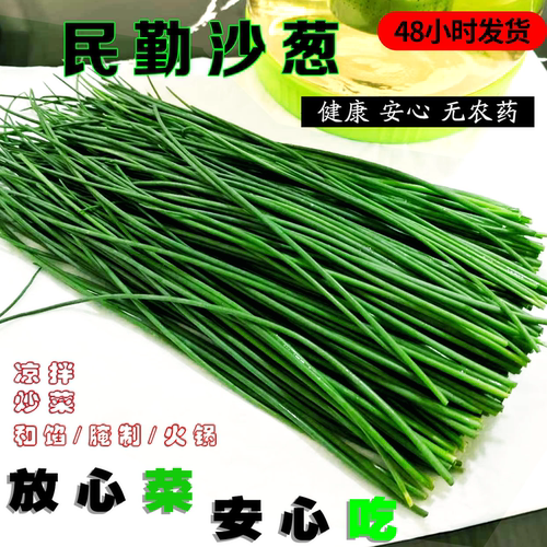 民勤沙葱新鲜精选商用净菜捆装