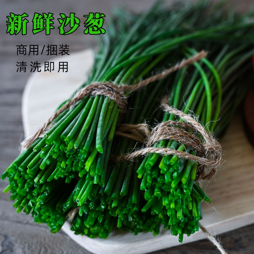 民勤沙葱新鲜保鲜商用捆装顺丰