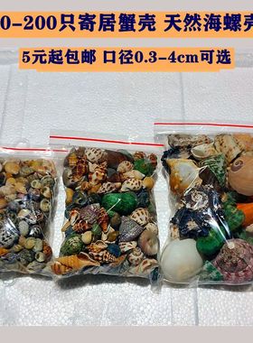 口径0.3-4cm寄居蟹替换壳 天然海螺鱼缸调节水质硬度ph硝化菌豆丁