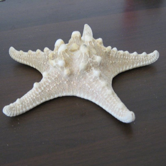 8-12cm霸王玻璃地中海风格摆件