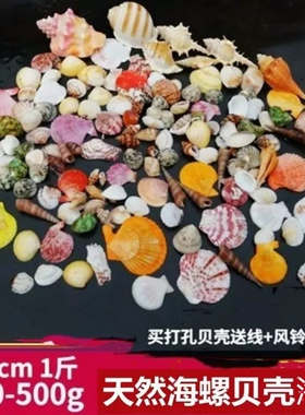 天然海螺贝壳海星 鱼缸造景寄居蟹打孔儿童手工相框diy风铃漂流瓶