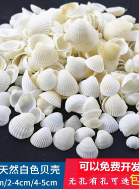 天然白色贝壳1-5cm 打孔 手工diy相框风铃儿童幼儿园手工课材料包