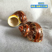 三湖卷贝躲避 寄居蟹替换备用壳手工diy去皮 天然海螺 古文猫眼螺