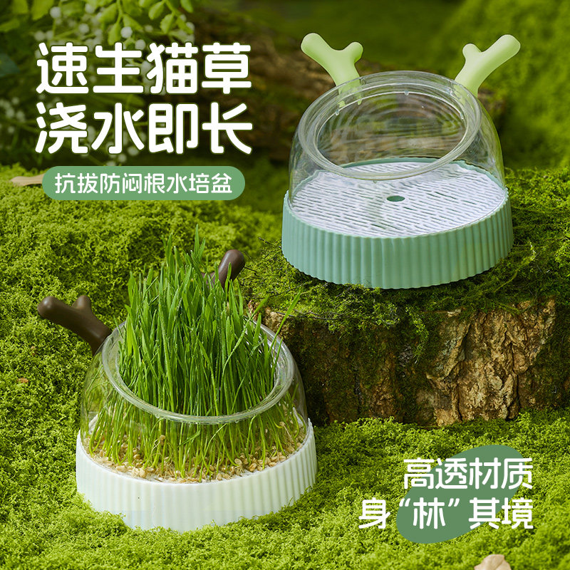猫草盆栽种籽水培盒懒人种植有机猫草化毛球片小麦种子育苗盘零食,宠物/宠物食品及用品,猫草/猫草片,淘宝优惠券,粉丝福利购,淘宝优惠卷