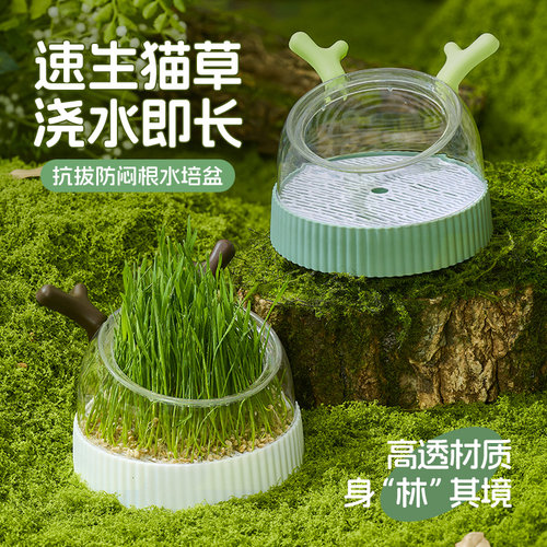 猫草盆栽种籽水培盒懒人种植有机猫草化毛球片小麦种子育苗盘零食