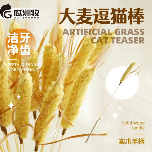 大麦薰衣草仿真逗猫棒