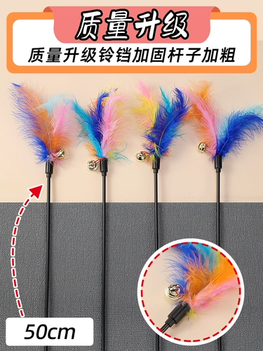 Дразнящая кошка котенок котенок дразнящие кошки принадлежит Daquan