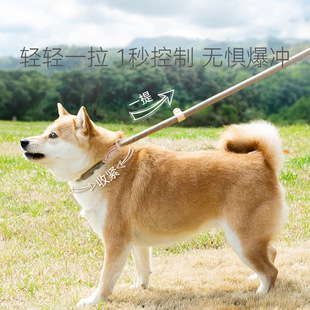 狗狗牵引绳中型犬p链遛狗绳大型犬p绳防爆冲遛金毛牵拉布拉多狗绳