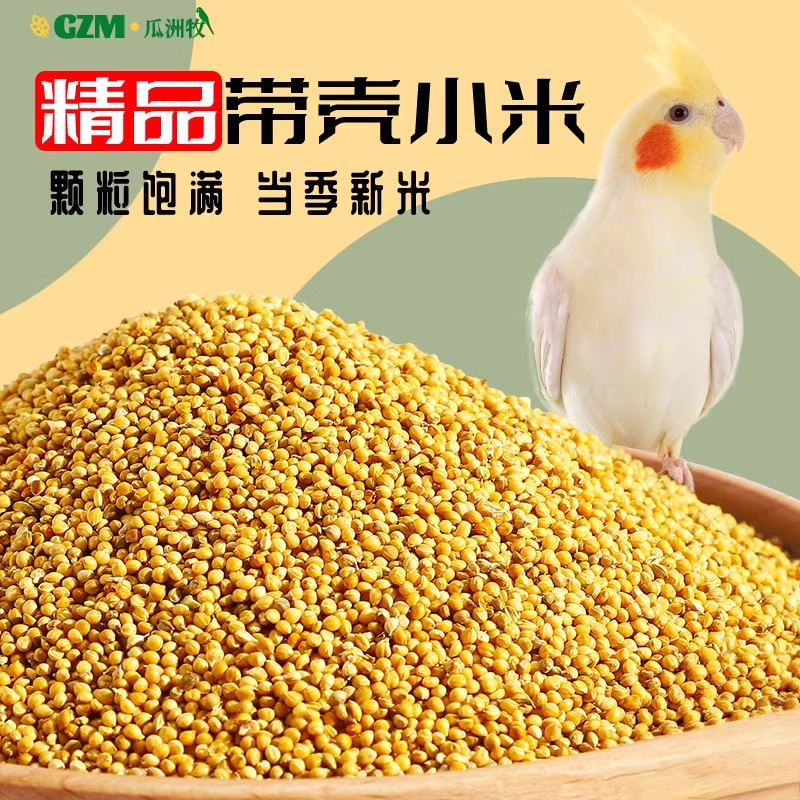 瓜洲牧鸟食鸟粮饲料虎皮玄凤牡丹鸟食带壳黄谷子五色黍子混合专用,宠物/宠物食品及用品,鸟食,淘宝优惠券,粉丝福利购,淘宝优惠卷