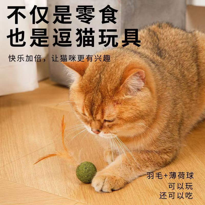 玩耍排毛两不误猫猫咪羽毛薄荷球