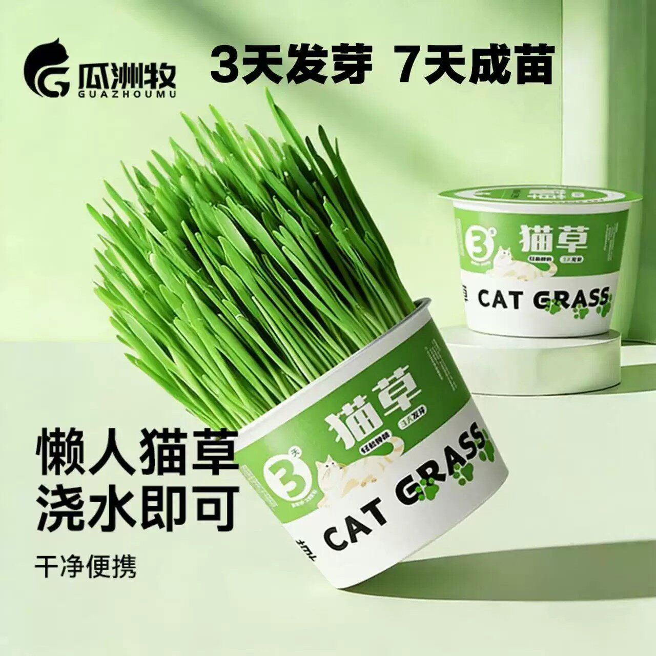 猫草盆栽懒人泡面猫草专用化毛水培盒狗猫草自种猫咪零食冻干