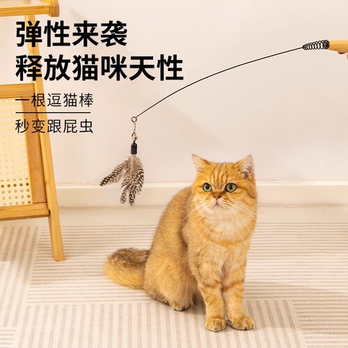 CFA-level cat teaser stick cat toys small flying insect feather replacement head resistant kittens supplies self-reliving boredom