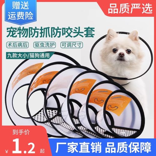 宠物医生推荐术后防抓防舔头套