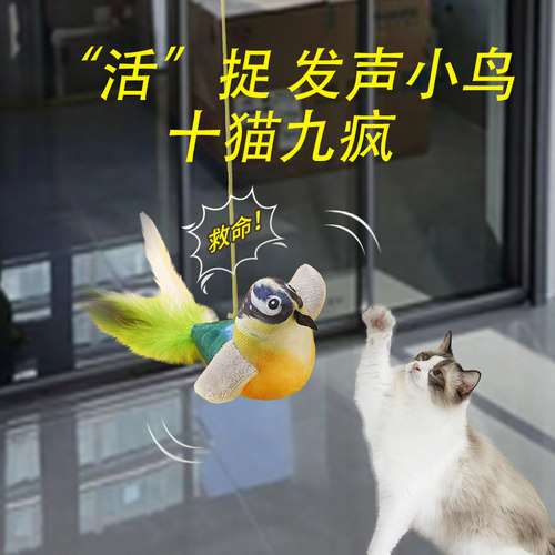 宠物发声鸟自嗨解闷会叫的小鸟