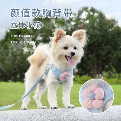 狗狗牵引绳背心式小型犬泰迪比熊博美专用胸背带幼犬链子遛狗绳
