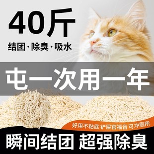 猫砂豆腐砂除臭无尘40斤去味结团20公斤 20斤大袋猫舍猫咪用品 包邮