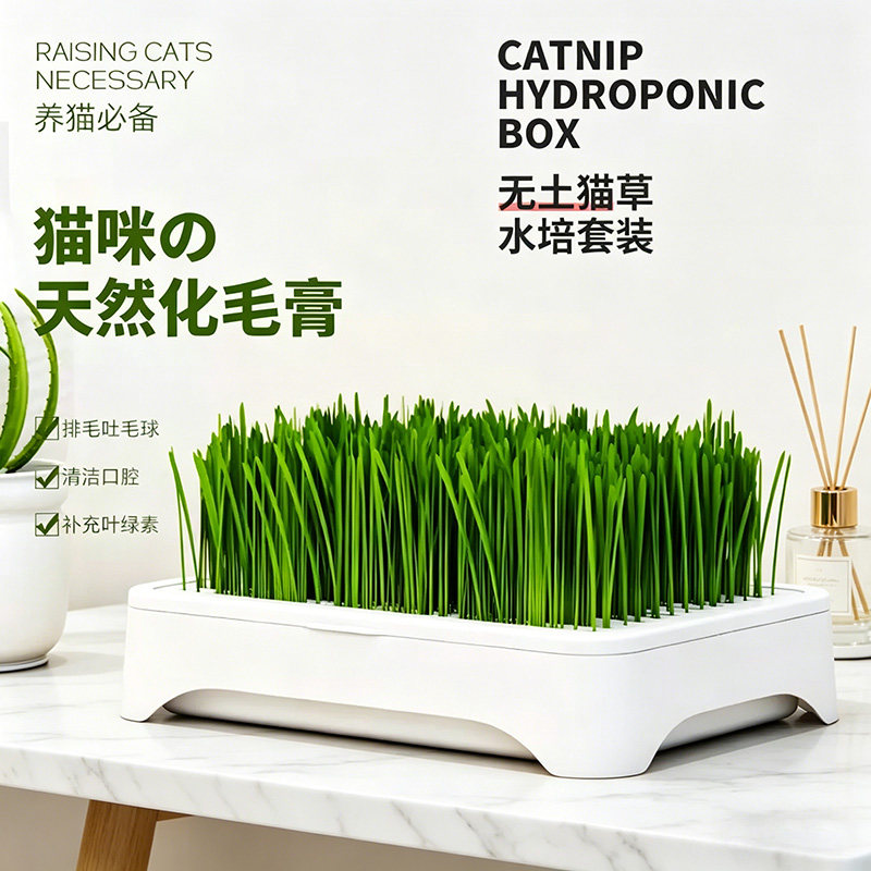 无土水培猫草盆栽种植盒懒人猫草种子育苗盘小麦化毛催吐助消化