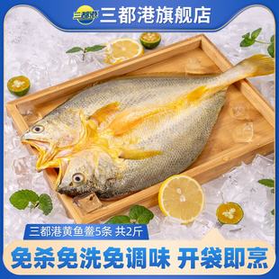 三都港黄鱼鲞宁德黄花鱼大黄鱼小黄鱼海鲜生鲜冷冻海鱼5条共2斤