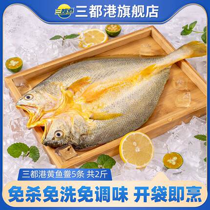 三都港黄鱼鲞宁德黄花鱼大黄鱼小黄鱼海鲜生鲜冷冻海鱼5条共2斤