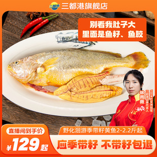 【自】三都港深海洄游带籽黄鱼2-2.2斤新鲜宁德黄鱼海鲜冷冻生鲜