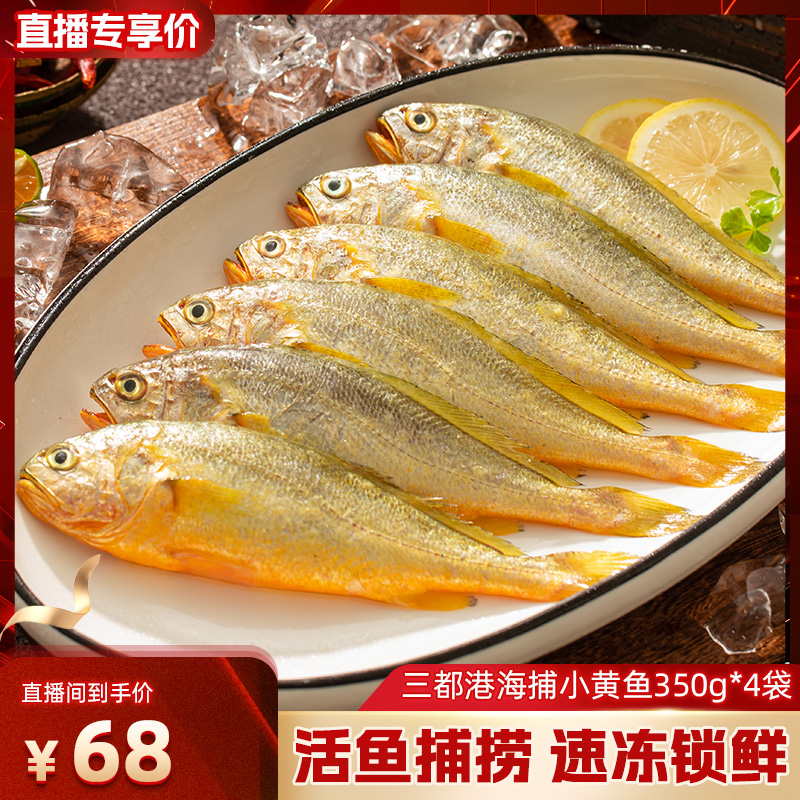 新鲜生鲜 海捕小黄鱼