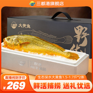 【自】三都港生态大黄花鱼1.5-1.7斤*2条海鲜礼盒黄花鱼送礼礼品