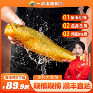 三都港冰鲜黄花鱼250g-300g*6条 现捕现发大黄鱼新鲜宁德黄鱼商用
