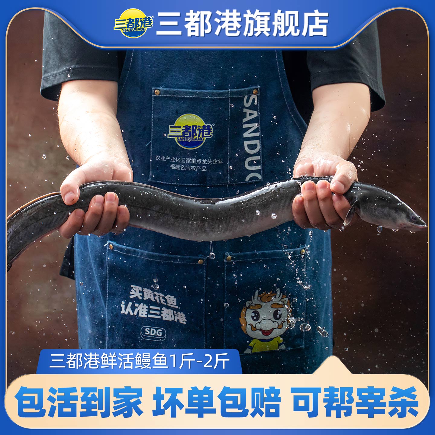 三都港活鳗鱼淡水整条新鲜