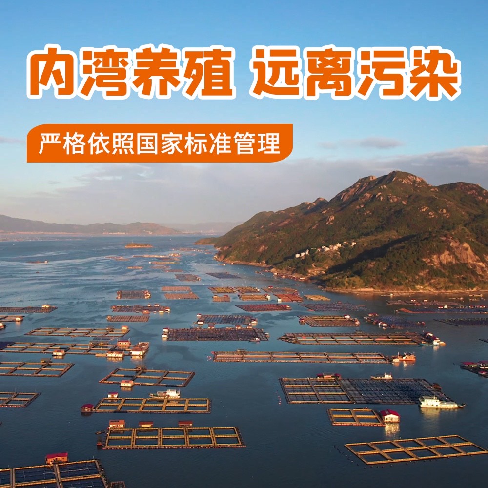 三都港生鲜免洗黄鱼鲞黄花鱼